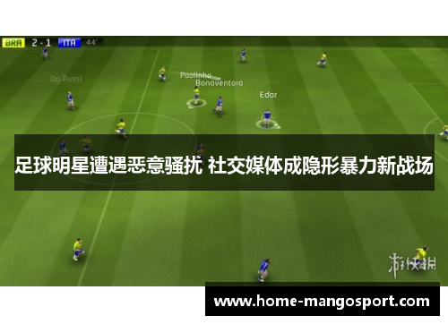 足球明星遭遇恶意骚扰 社交媒体成隐形暴力新战场