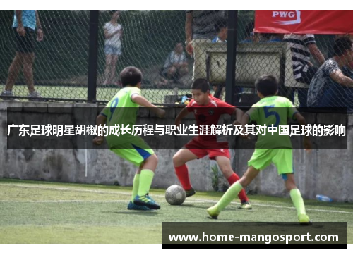 广东足球明星胡椒的成长历程与职业生涯解析及其对中国足球的影响