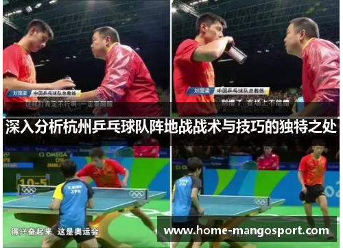 深入分析杭州乒乓球队阵地战战术与技巧的独特之处