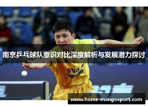 南京乒乓球队意识对比深度解析与发展潜力探讨