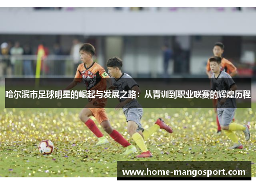 哈尔滨市足球明星的崛起与发展之路：从青训到职业联赛的辉煌历程