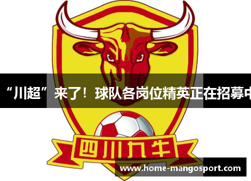 “川超”来了!球队各岗位精英正在招募中 “川超”来了!球队各岗位精英正在招募中